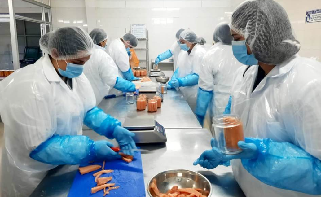 Estudiantes de 3°D de la especialidad de Elaboración Industrial de Alimentos realizaron actividad práctica en taller